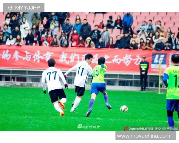 当今法国足球明星排名及其在国际赛场上的影响力分析